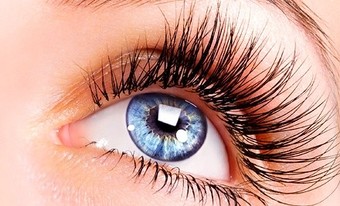 Mink Eyelash Extensions at That Lash Girl at Salon Bordeaux (Up to 91% Off). One Option Available.  