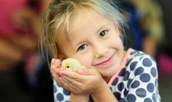 Super Spring Pass for Four or Six at YesterLand Farm (Up to 39% Off) 
