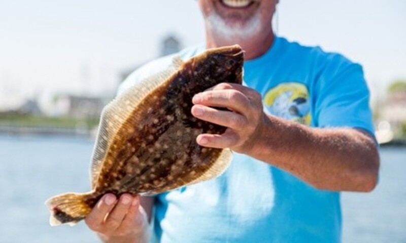 Sunset Cruise or Four-Hour Private All-Inclusive Fishing Trip from Summer Breeze Fishing Trips (Up to 39% Off)