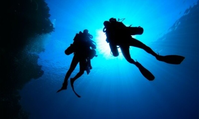 Five-Day Scuba Package or Seven-Day Scuba and PADI Certification Package from sciDIVERS (Up to 40% Off) 