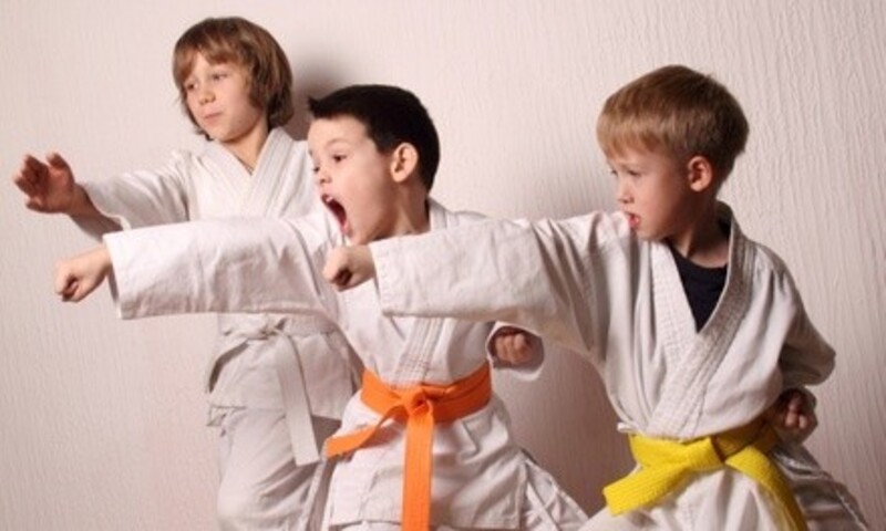 Four Weeks of Unlimited Martial Arts or Kickboxing Classes at Emerald Dragon Karate (Up to 90% Off)  