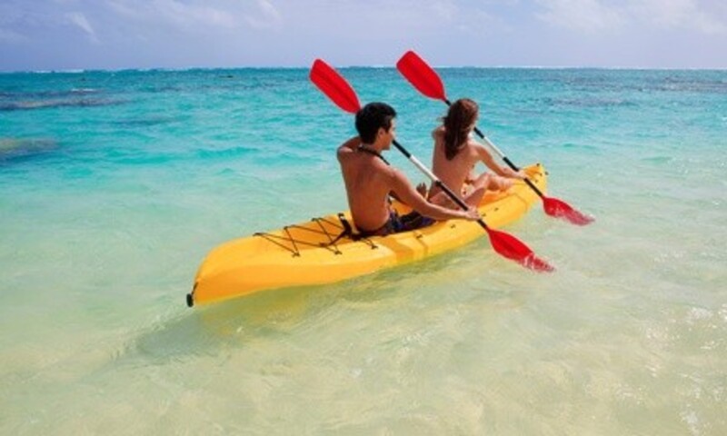 Half-Day Single Paddleboat Rental for Two, Four, or Eight People at Jean Lafitte Marine (Up to 62% Off)