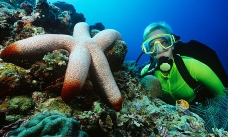 $26 for Discover Scuba or Snorkeling Lesson at Try Scuba ($99 Value) 