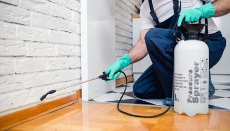 $100 for 3 months of pest control ($200 value)