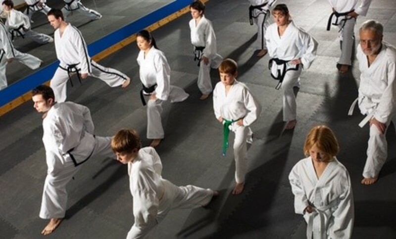 One Month of Youth Martial-Arts or Adult Fitness Classes at ProActive Martial Arts (Up to 73% Off)