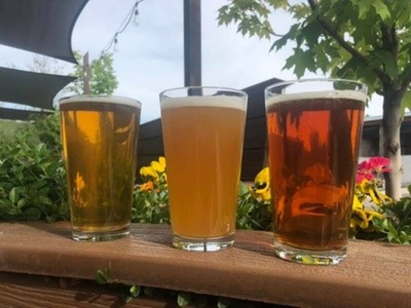 Beer Flight with Bomber for One, Two, or Four at Chainless Brewing (Up to 39% Off)