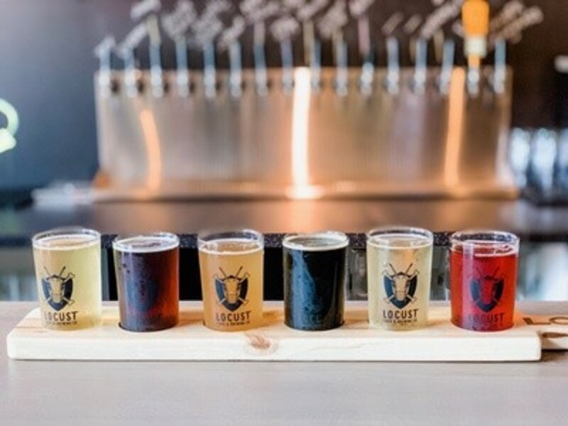 Cider Flights for Two, Three, or Four with Commemorative Pint Glasses at Locust Cider (Up to 54% Off)