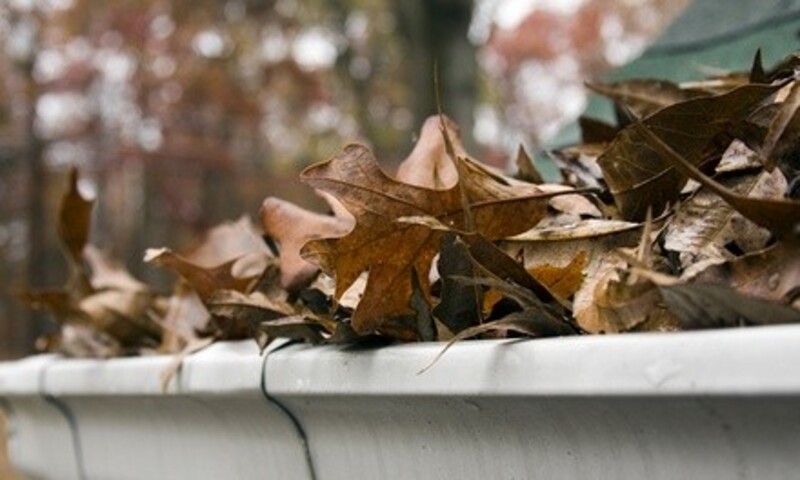 Up to 59% Off at Inspections Galore