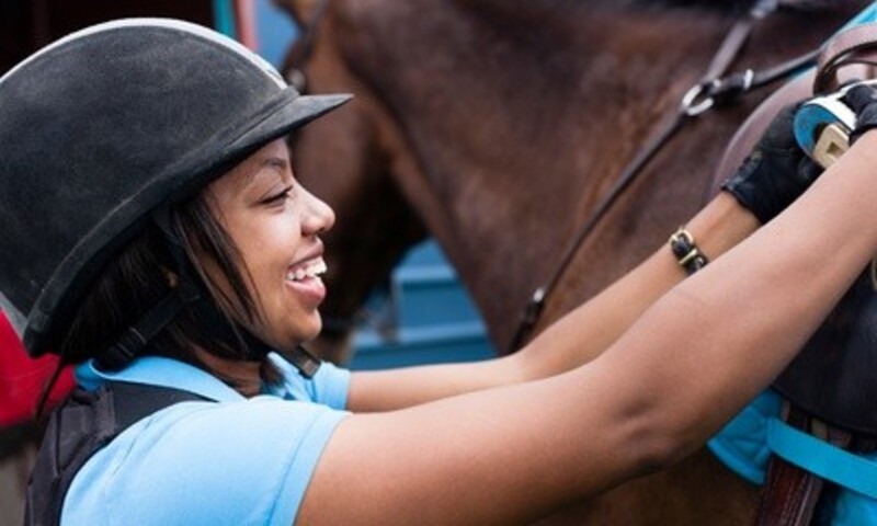 Two or Three 30-Minute Private Horseback-Riding Lessons at The Brass Ring (Up to 51% Off)
