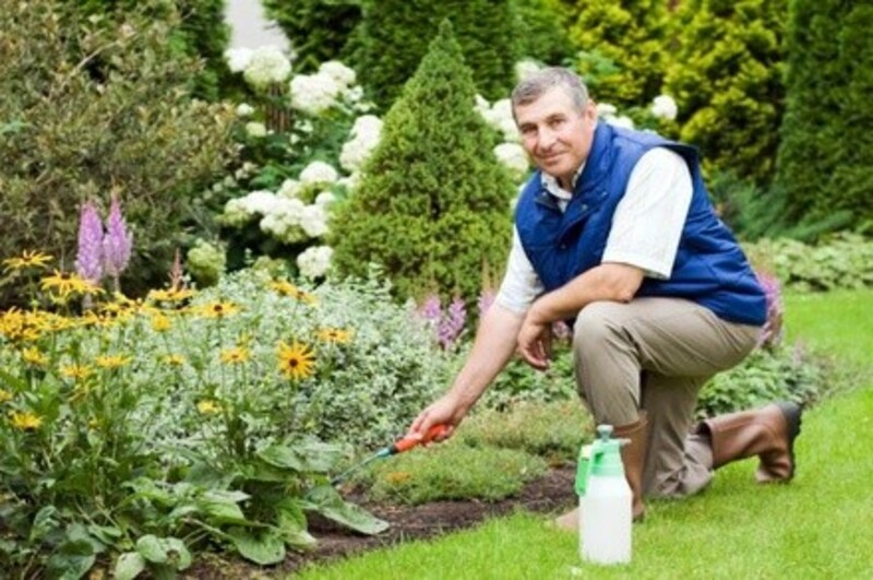 $25 for $50 Worth of Services — Nm contractor 