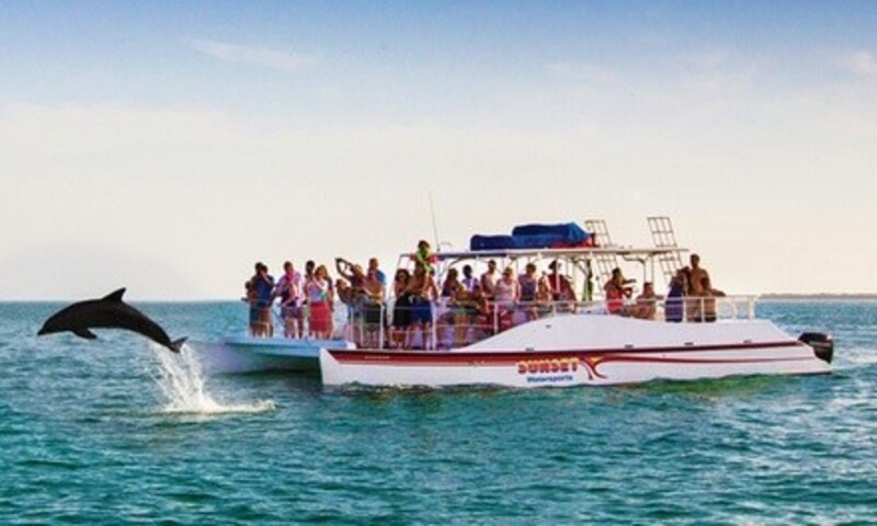 Three-Hour Dolphin-Watching and Snorkel Cruise for One or Two from Sunset Watersports (Up to 12% Off)