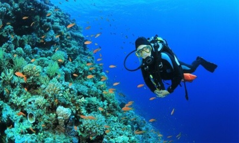 Discover Scuba Class for One or Two at Stillwater Diving (Up to 44% Off)
