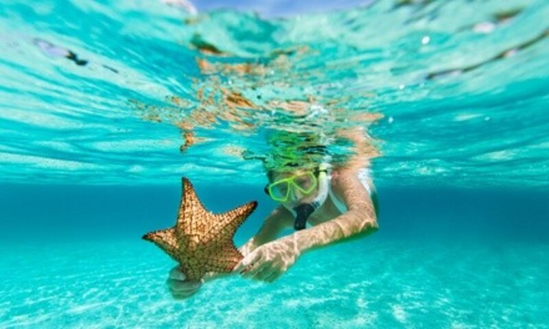 Four- or Six-Hour Private Snorkeling Experience for Up to Four from Fantasy Ocean Adventures (Up to 9% Off)