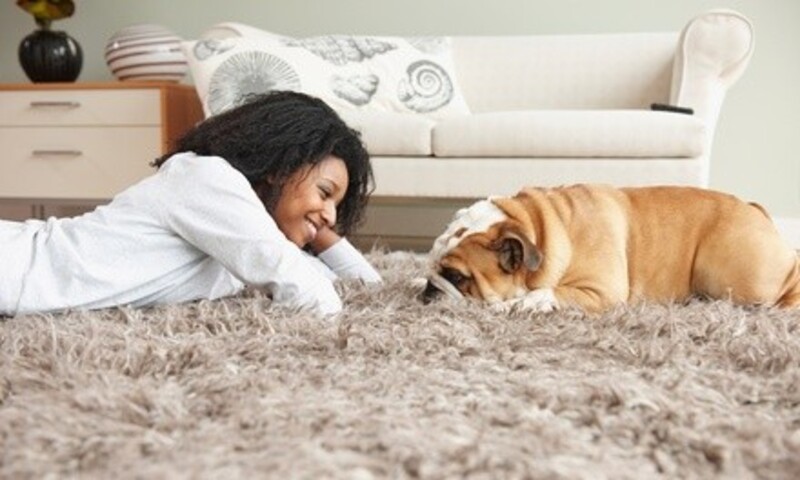 Carpet, Hardwood, LVT, and Tile Materials from Arcadia Floors + Home (Up to 50% Off). Two Options Available. 