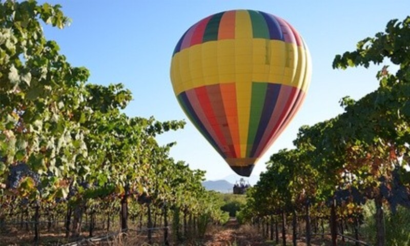 Sunrise Balloon Flight for One, Two, or Four from Sunrise Balloons (18% Off)