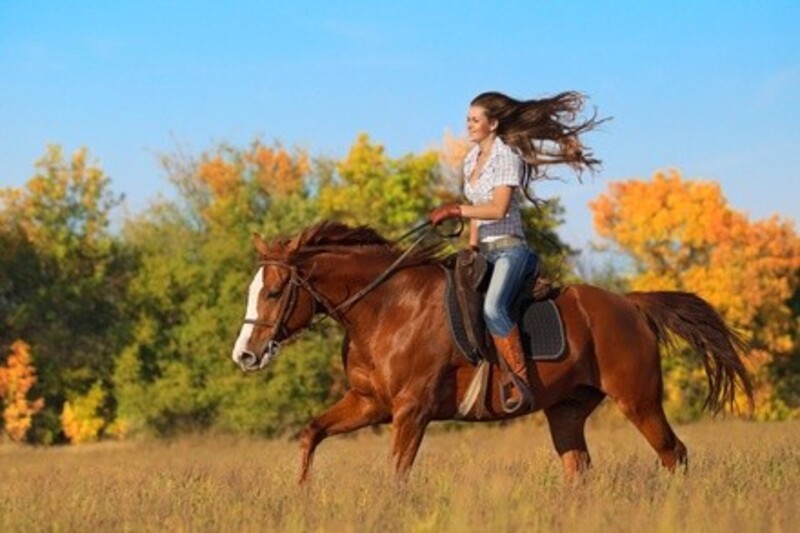 10% Off First Time Adult Horseback Riding Lessons  at Kilham Farm