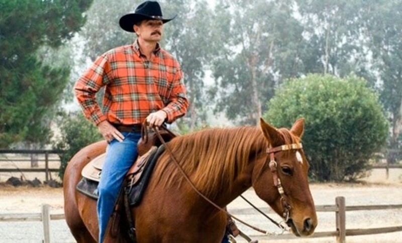 Horseback-Riding at Triple C Pleasure Horses (Up to 44% Off). Four Options Available.