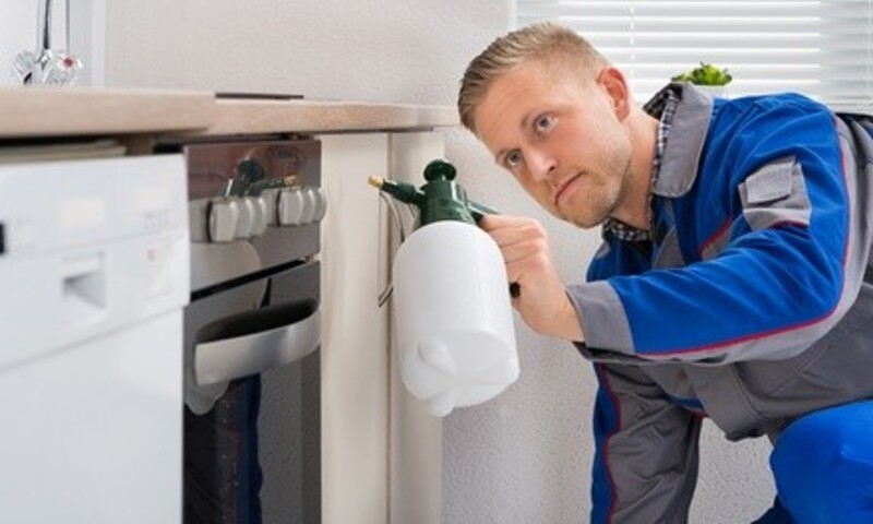 $337 Off $449 Worth of Pest Control Service - General