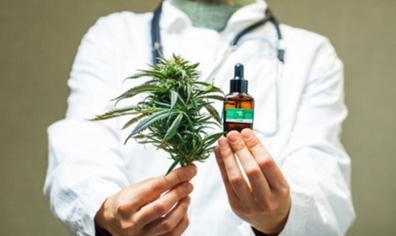 $139 for Consultation & Exam for a Potential Florida Medical Marijuana Card at Marijuana Doc ($225 Value)