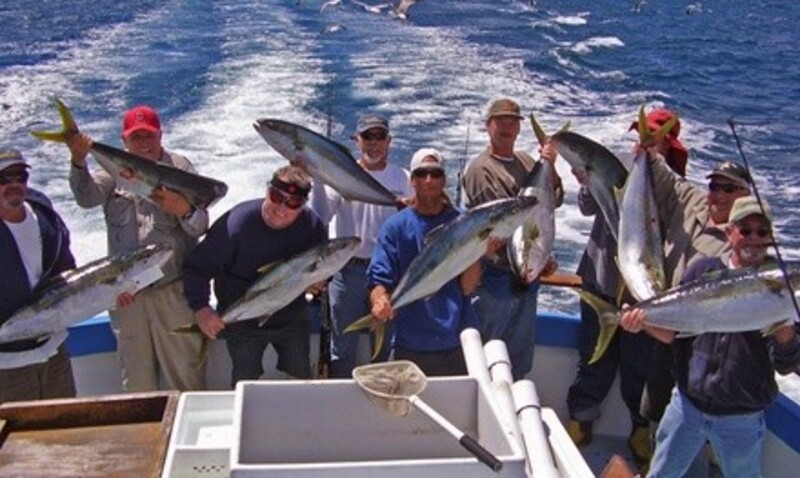 Adult or Junior Deep Sea Fishing Trip with Meal Option at Freelance Ocean Tours (Up to 54% Off)