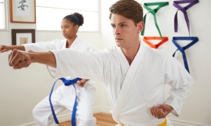 $21 Off $85 Worth of Martial Arts / Karate / MMA