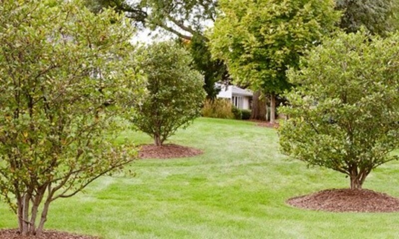 $1 Off $2 Worth of Lawn / Garden Care