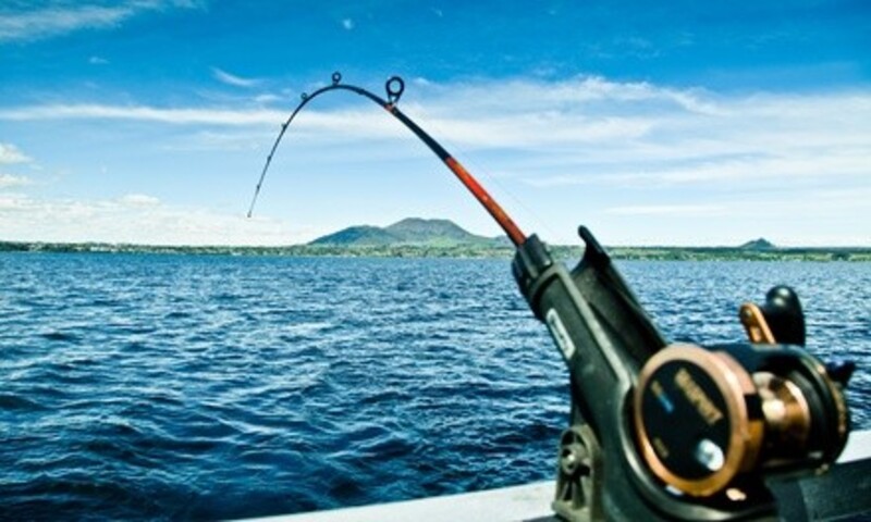 Deal for Knee Deep Charters