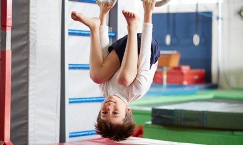 One Month of Classes at Royal Impact (Up to 64% Off). Three Options Available.