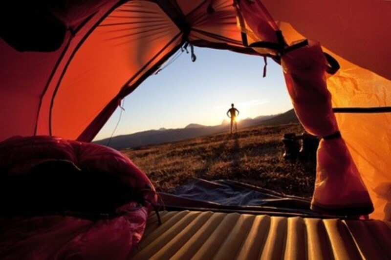 Seven-Day Kids' Horseback-Riding Camp at Educational Planning and Counseling Services (48% Off)
