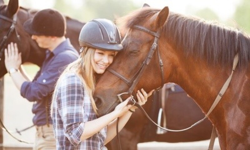 $949 for Team Building Experience at Foundations Farm ($2,000 Value)