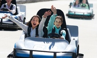 Deal for Swings-N-Things Fun Park