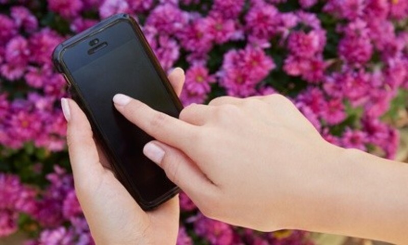 iPhone 5 Screen Replacement from TekSec Systems (50% Off)