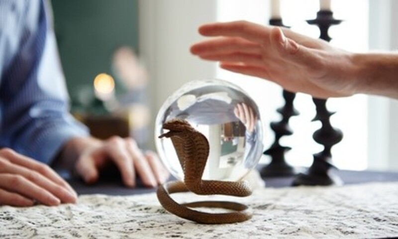 Up to 28% Off on Psychic / Astrology / Fortune Telling at Hip and Happy