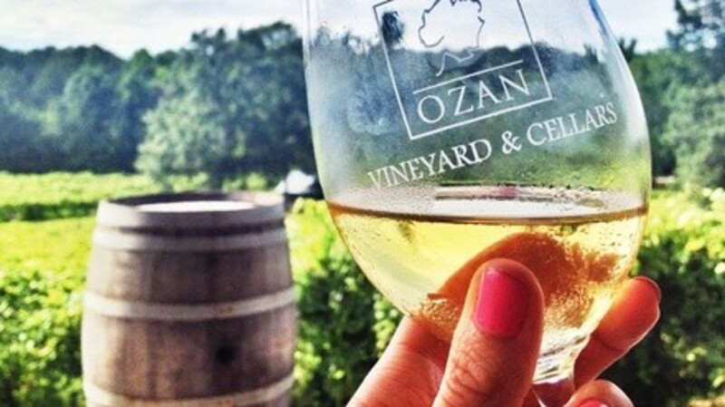 Wine or Spirit Tasting for Two or Four with Cheese Plates and More at Ozan Vineyard and Cellars (Up to 29% Off)