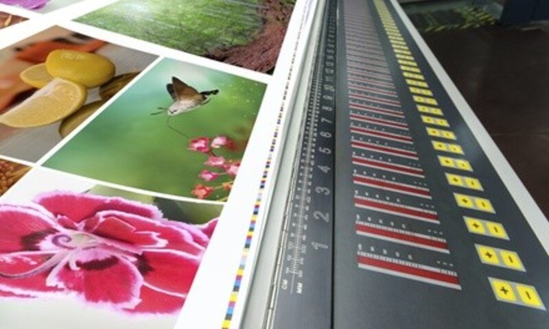 Up to 34% Off at DMS Printing & Design