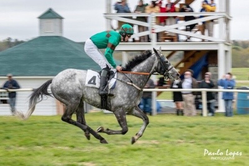 Up to 35% Off on Horse Back Riding - Training at Catalyst Stables Training Center