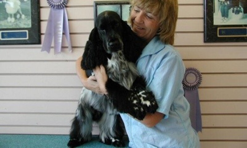 Pet Grooming at Blue Ribbon Pet Styling (Up to 51% Off). Four Options Available.