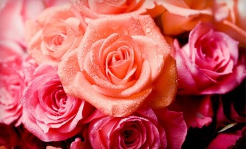 $16 for $35 Worth of Fresh Flower Arrangements at Finishing Touch Florist & Gifts