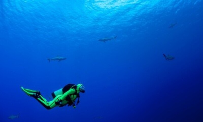 Deal for Scuba Works