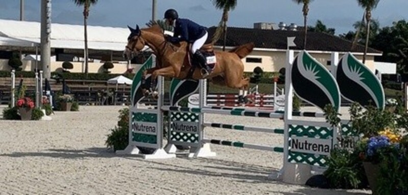 Private Lessons or Therapy Session at AGM Equestrian (Up to 31% Off). Five Options Available.