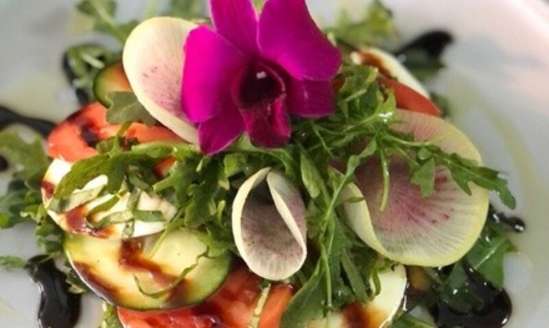 $10 for $15 Towards Food and Drink for Takeout or Dine-In (When Available) at Ocean Beach Cafe