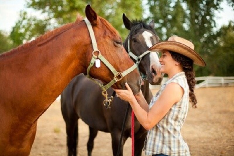 Up to 50% Off on Horse Back Riding - Training at Chica's Ranch