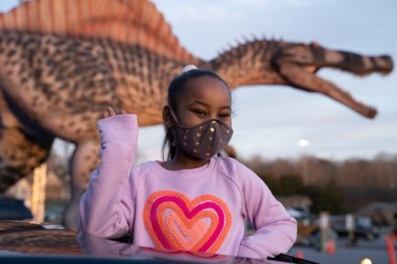 Deal for Dino Safari Drive Thru
