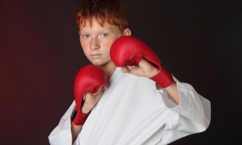 20 Martial Arts Classes at The Dojo (49% Off)
