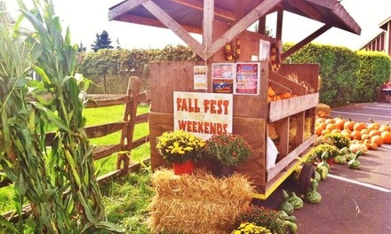 Corn Maze Admission with a Hayride for One, Two, or Four to Northern Star Farm (Up to 39% Off)