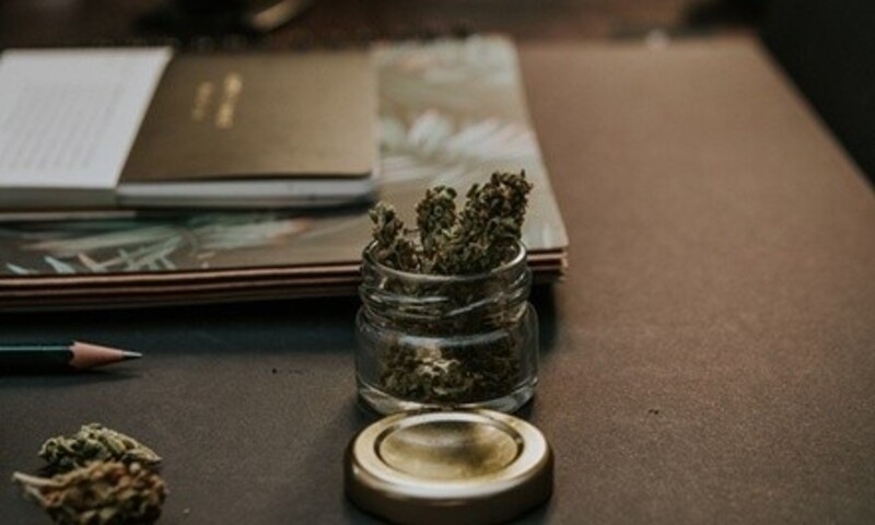 Up to 90% Off on Life Coach at Cannalign Ecs Optimization