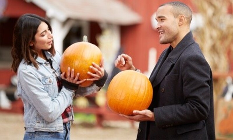 $30 for $40 Toward Fall Activities or Pumpkins at Old McDebbie's Farm