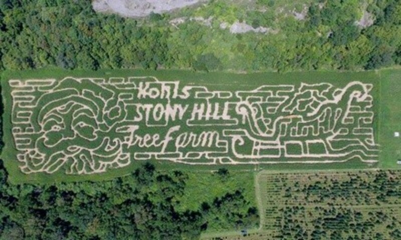 Corn Maze and Hay Ride for One, Two, or Four at Kohl's Stony Hill (Up to 25% Off)
