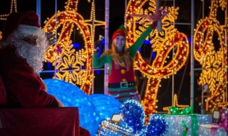Holiday Light Experience Walk-Through Tour for One (November 19–December 16) ​(Up to16%￼ Off
