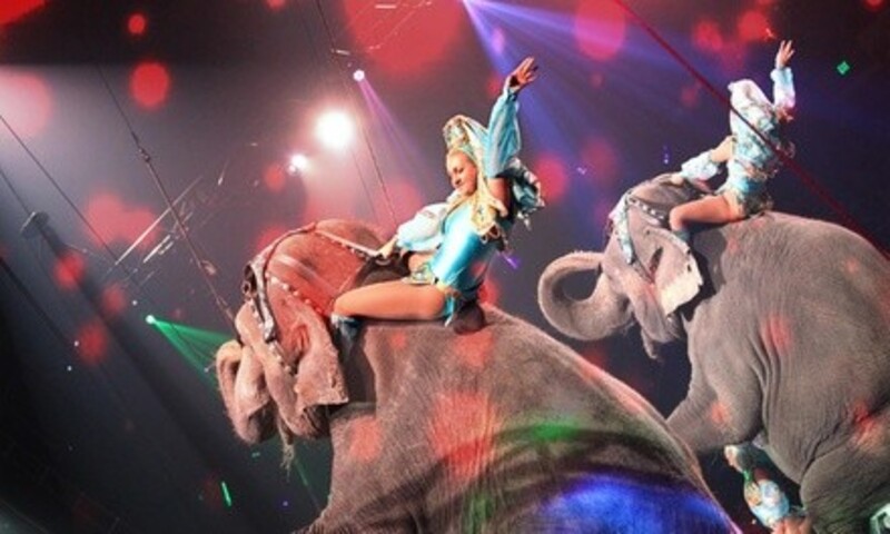 Forth Worth Moslah Shrine Circus (November 18–21)